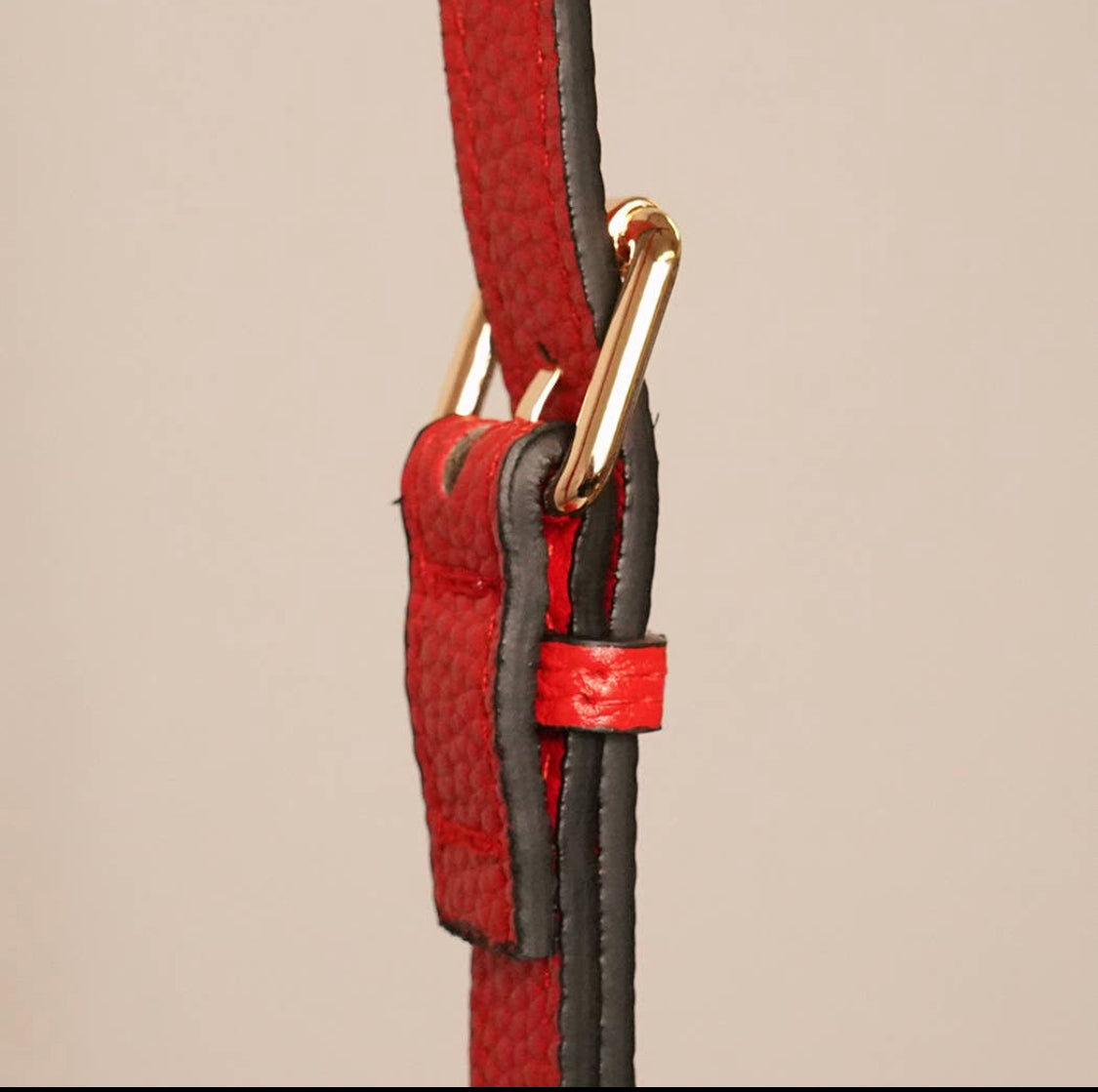 Small Crossbody Bag with Webbed Strap